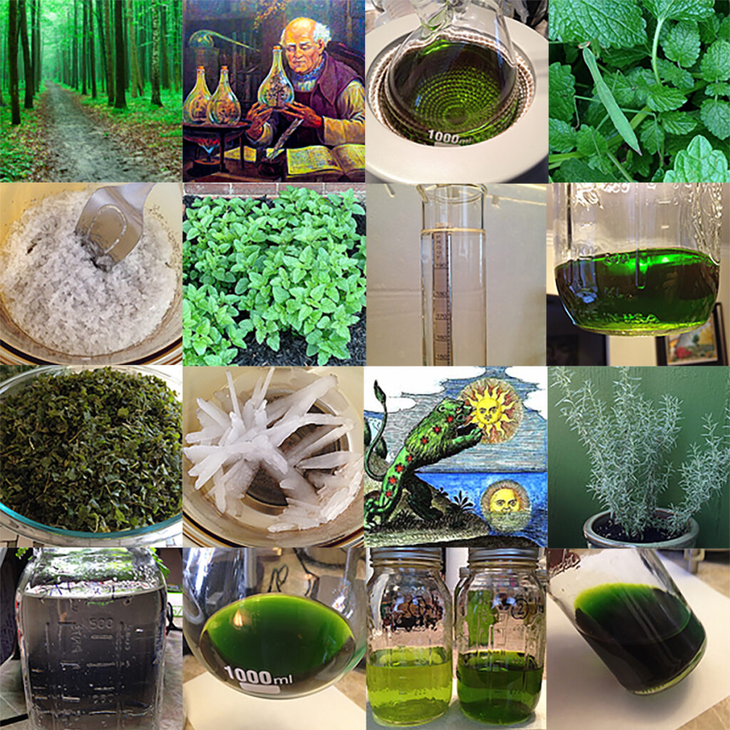 Primum Ens Plant Alchemy Training
