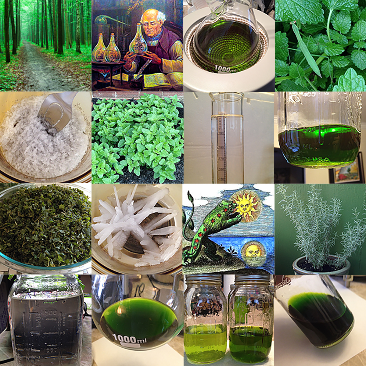 Primum Ens Plant Alchemy Training